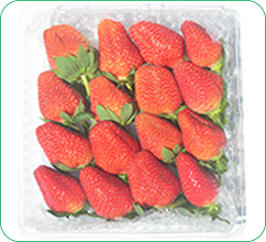 454-gram-strawberry-1.png