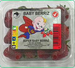 baby-berry1.png
