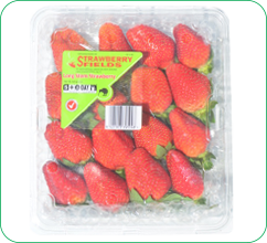454-gram-strawberry.png